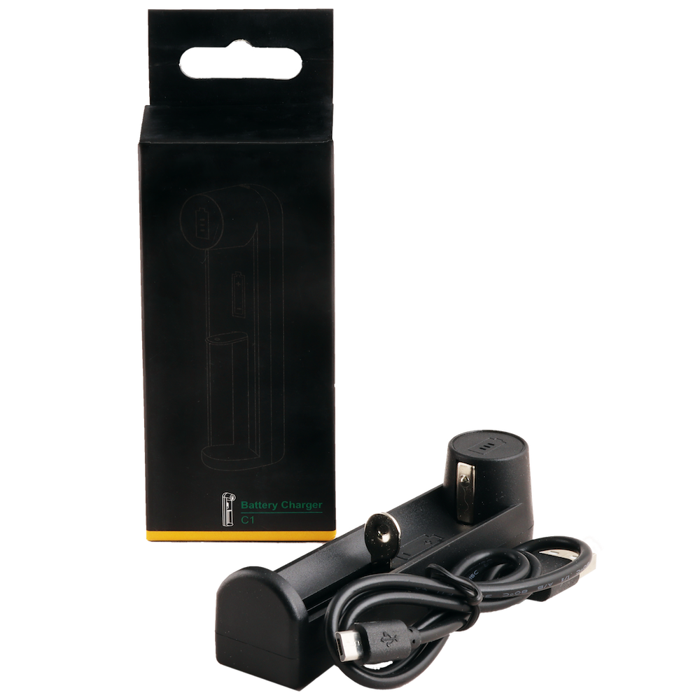 Single bay charger